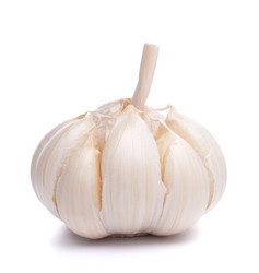 Similar image 2980886