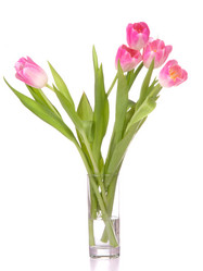 Similar image 2980909