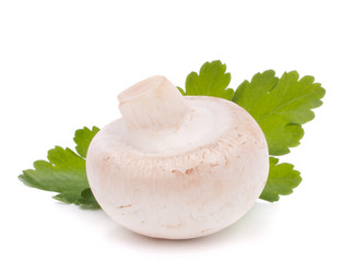 Similar image 2980910