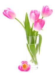 Similar image 2980913