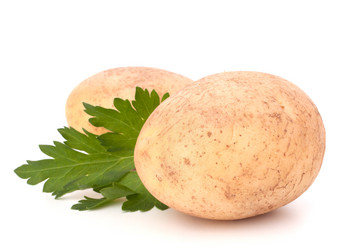 Similar image 2980918