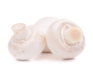 Similar image 2980973