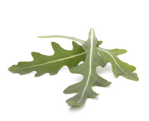 Similar image 2980992