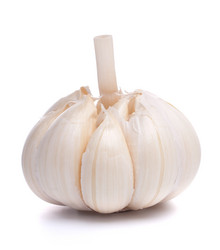 Similar image 2981001