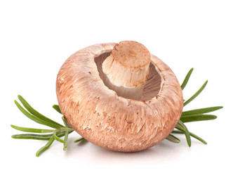 Similar image 2981005