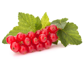 Similar image 2981017