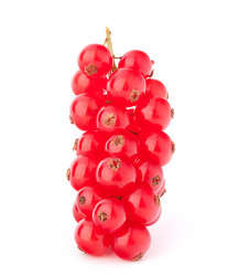 Similar image 2981053