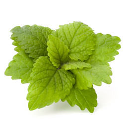 Similar image 2981071