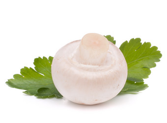 Similar image 2981087