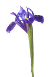 Similar image 2981093