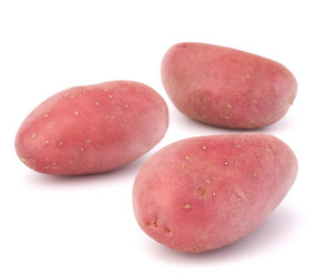 Similar image 2981106