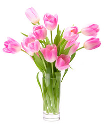 Similar image 2981108