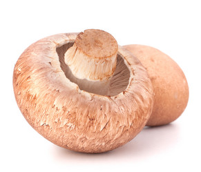 Similar image 2981131