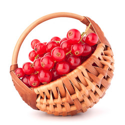 Similar image 2981165