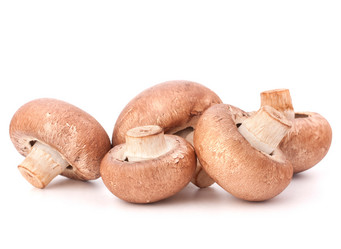 Similar image 2981179