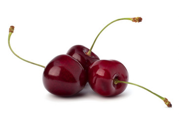 Similar image 2981182