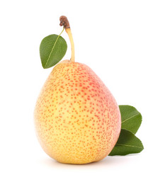 Similar image 2981188