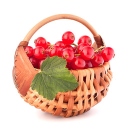 Similar image 2981195