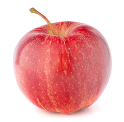 Similar image 2981198