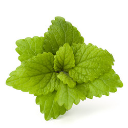 Similar image 2981207