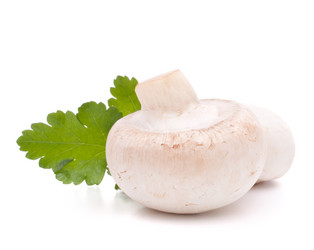 Similar image 2981218