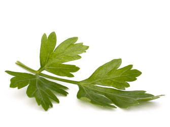 Similar image 2981222