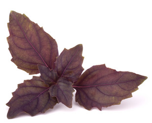 Similar image 2981240