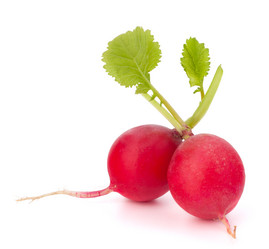 Similar image 2981246