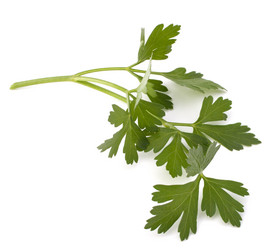 Similar image 2981248