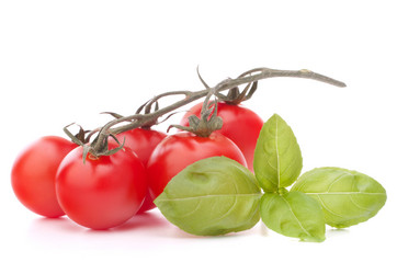 Similar image 2981272