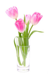 Similar image 2981273