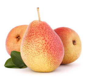 Similar image 2981296