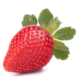 Similar image 2981297