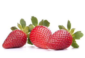 Similar image 2981304