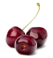 Similar image 2981319