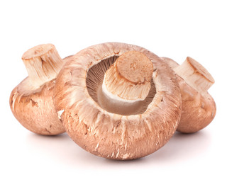 Similar image 2981324