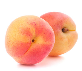 Similar image 2981325