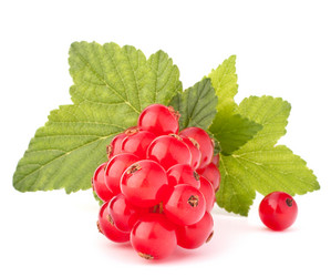 Similar image 2981335