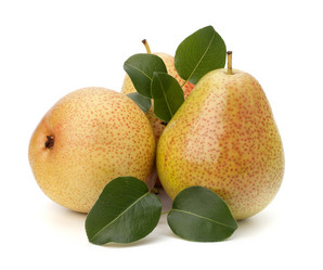 Similar image 2981336