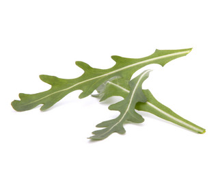 Similar image 2981348