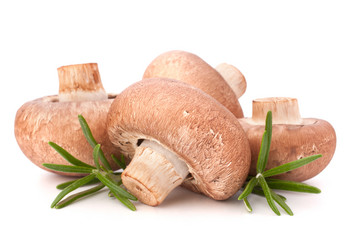 Similar image 2981362