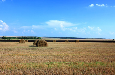 Similar image 2981380