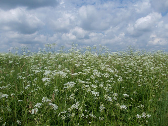 Similar image 2981396