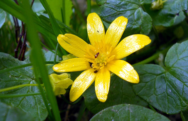 Similar image 2981398