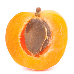 Similar image 2981399