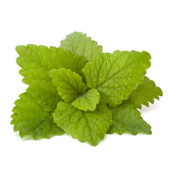 Similar image 2981402