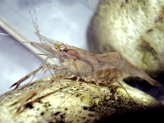 Similar image 2981435