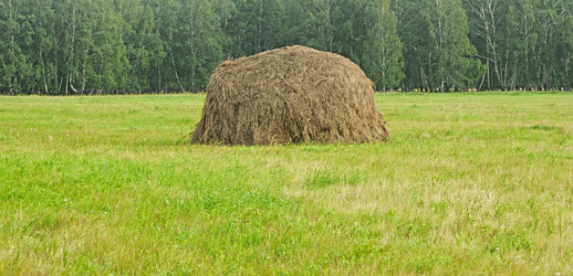 Similar image 2981462