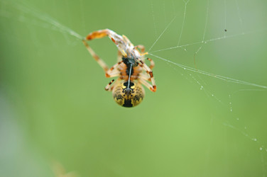 Similar image 2981465