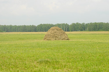 Similar image 2981466